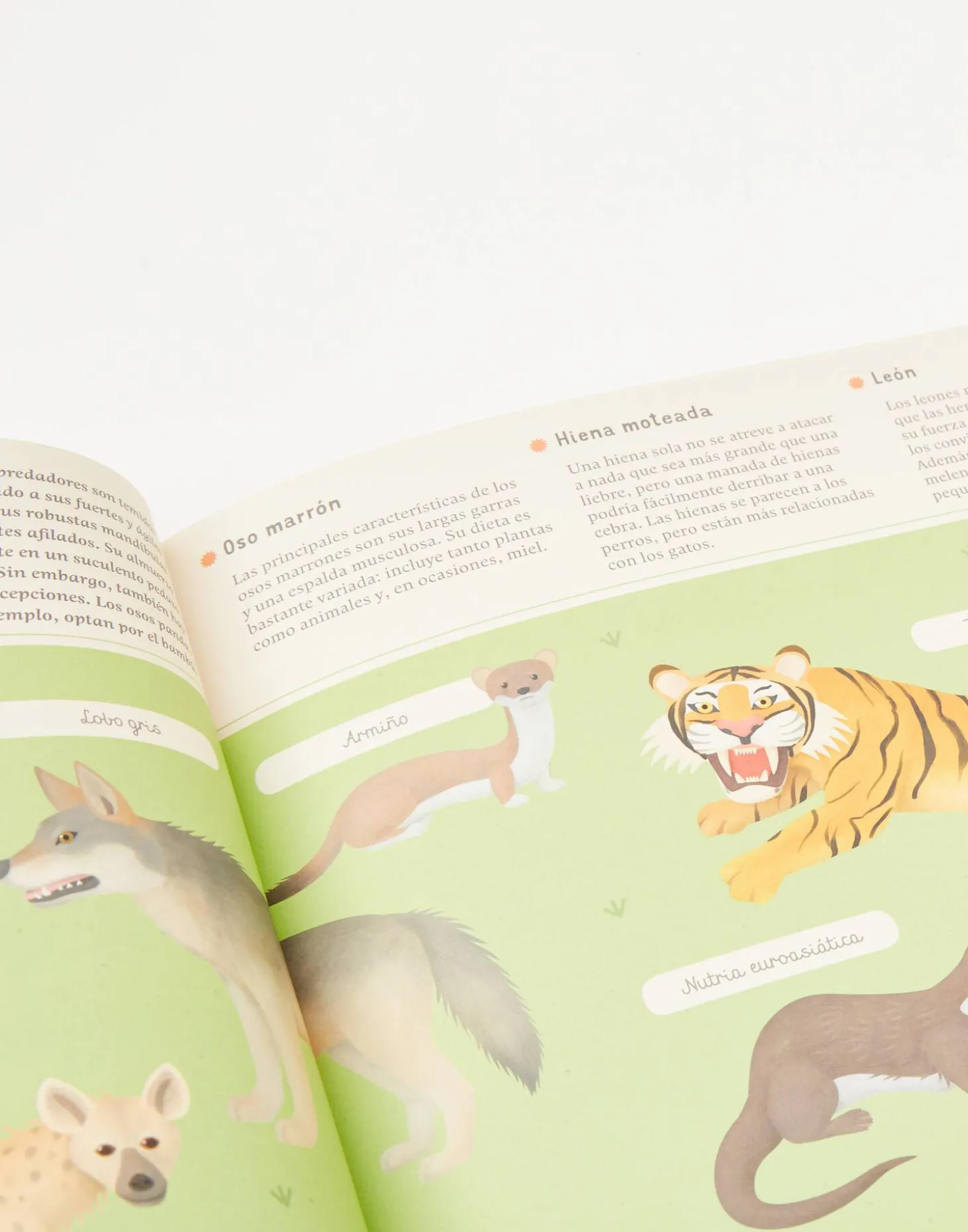 Enciclopedia De Animales Para Jóvenes Lectores