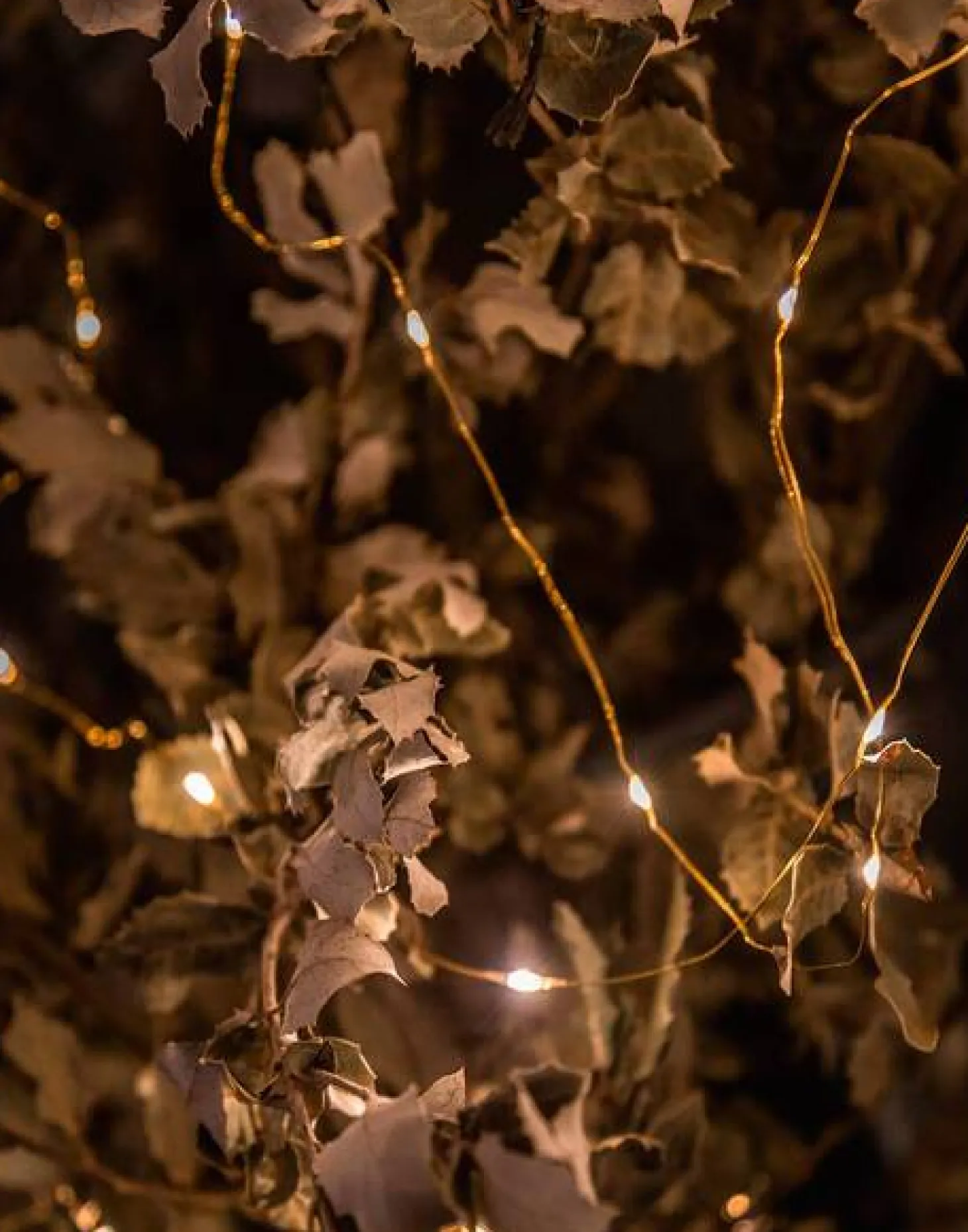 Mini Tira De Luces