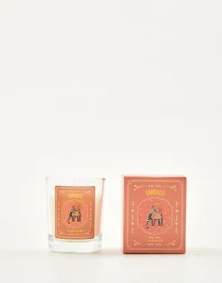 Vela Elephant